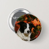 Straat Collie Autumn Ronde Button 5,7 Cm (Voorkant /achterkant)