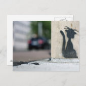 straatkat briefkaart (Voorkant / Achterkant)