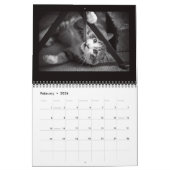 Straatkatfotografie Kalender (Feb 2026)