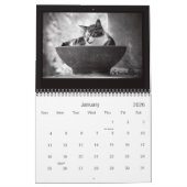 Straatkatten Kalender (Jan 2026)