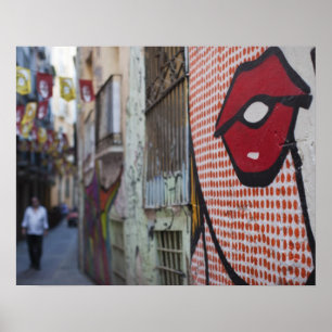 Straatkunst op Calle de la Libertad street Poster