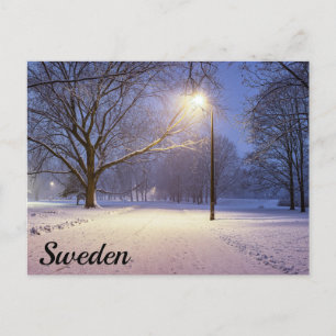 Straatlichten en bedekt met sneeuwbomen briefkaart