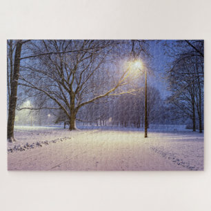 Straatlichten en bedekt met sneeuwbomen legpuzzel