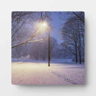 Straatlichten en sneeuwbomen fotoplaat