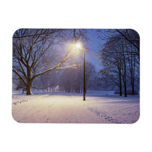 Straatlichten en sneeuwbomen magneet