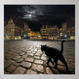 Straatsburg's nacht poster