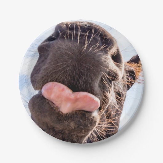 Straight from the Horse's mouth Funny Photography Papieren Bordje (Voorkant)