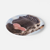 Straight from the Horse's mouth Funny Photography Papieren Bordje (Gekanteld)