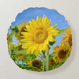 Stralende gele zonnebloemen rond kussen
