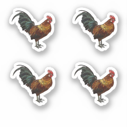 Stralende haan sticker (Voorkant)