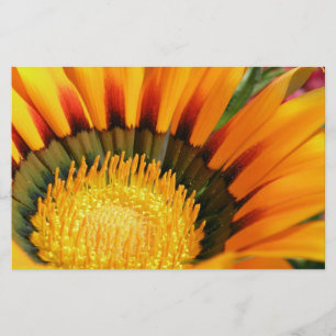 Stralende Schatbloem Botanische Foto Briefpapier