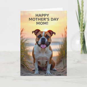 Stralende Sunset Hond Kaart