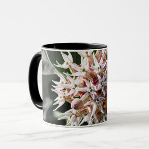 Stralende Zuiverheid: Witte Showy Milkweed Flower  Mok