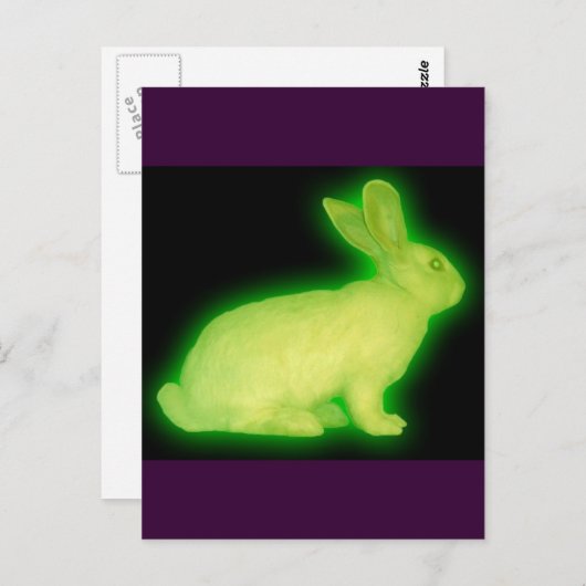 STRALINGSRABBIT BRIEFKAART (Voorkant / Achterkant)
