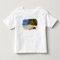 Strand Anse Victorin