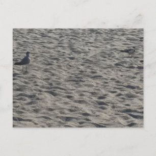 Strand Ansichtkaart Briefkaart