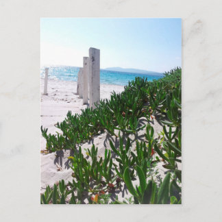 Strand bei Alghero Sardinien - Postkarte Briefkaart