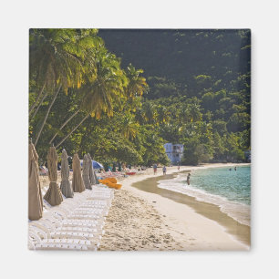 Strand bij Cane Garden Bay, eiland Tortola Magneet