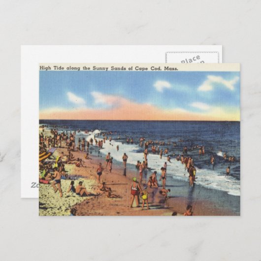 strand bij Cape Cod Briefkaart (Voorkant / Achterkant)