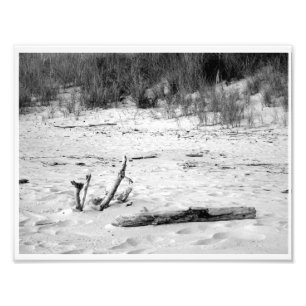 strand bij Lake Michigan Foto Afdruk