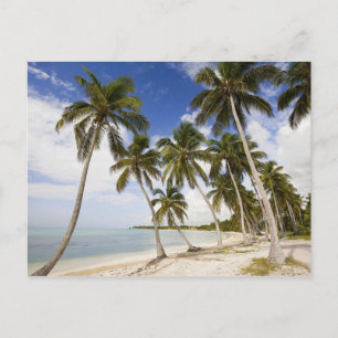 Strand bij Punta Cana Briefkaart