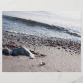 Strand close-up flyer (Voorkant)