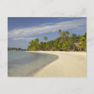 Strand en palmbomen, Plantation Island Resort Briefkaart