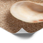 strand- en zandstaarten poster (Hoek)