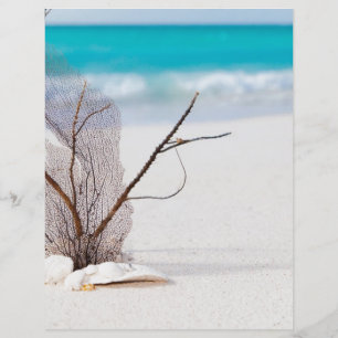 strand- en zee-concept strand schoonheid blauwe ka