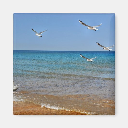 strand en zeegarren magneet (Voorkant)