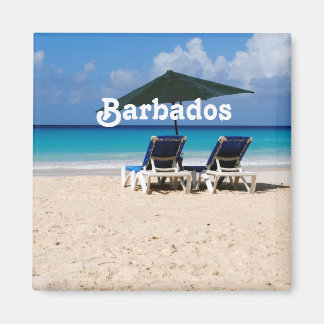 Strand in Barbados Magneet