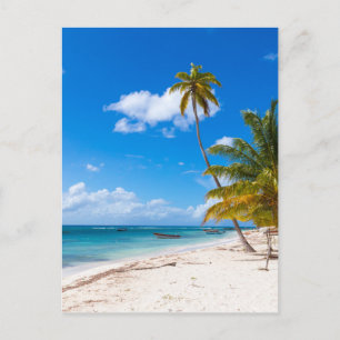 strand in de Dominicaanse Republiek Saona Briefkaart