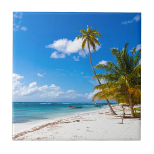 strand in de Dominicaanse Republiek Saona Tegeltje