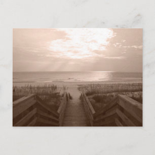 strand in Florida Briefkaart