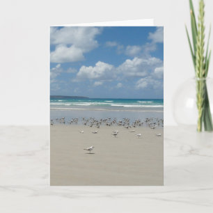 Strand met meeuwen kaart