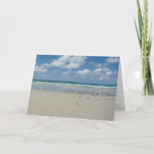 Strand met meeuwen kaart