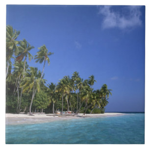 Strand met palmbomen, Malediven Tegeltje