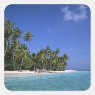 Strand met palmbomen, Malediven Vierkante Sticker