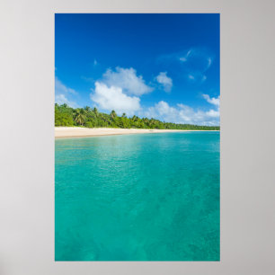 strand met palmbomen, Tonga Poster