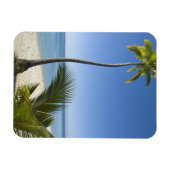 strand op het vasteland Aitutaki, Cookeilanden Magneet (Horizontaal)