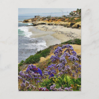strand op La Jolla Cove Briefkaart