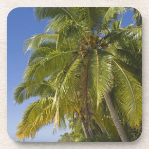 Strand op One Foot-eiland, Aitutaki, Cookeilanden Bier Onderzetter