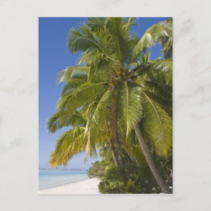 Strand op One Foot-eiland, Aitutaki, Cookeilanden Briefkaart