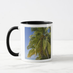 Strand op One Foot-eiland, Aitutaki, Cookeilanden Mok