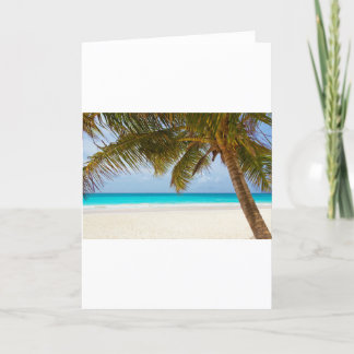 strand palm takken boom tropisch eiland zand zee kaart