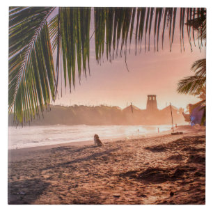 Strand Palm Tree Calm Sunset Tegeltje