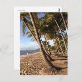strand, palmbomen op het briefkaart van de Palmbed (Voorkant / Achterkant)