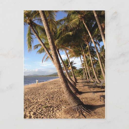 strand, palmbomen op het briefkaart van de Palmbed (Voorkant)