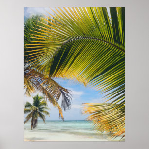 strand Palms poster