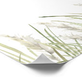 Strand Pampagras Oefendiner Poster (Hoek)